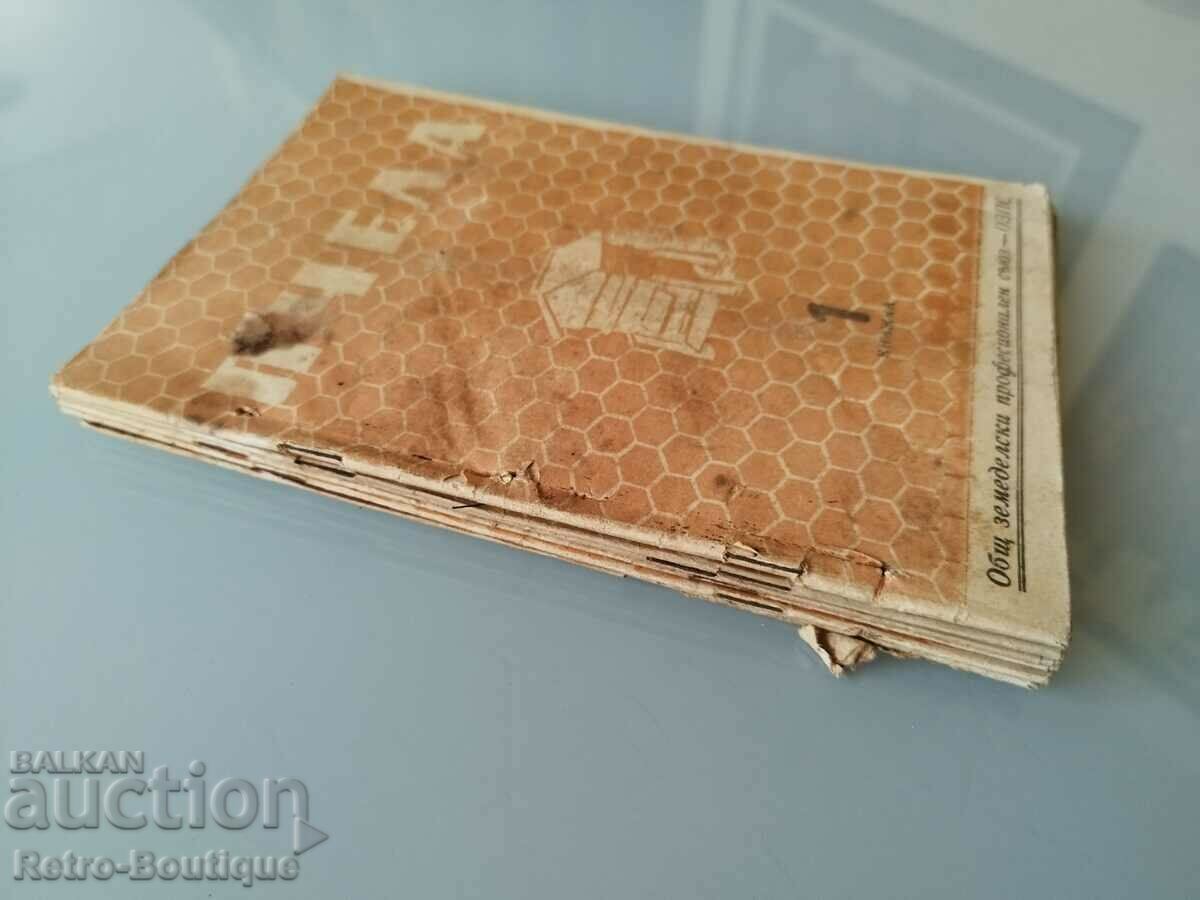 "Bee" magazine, 1950 - 9 issues. with price 50.00 BGN | € 25.56 "Bee" magazine, 1950 - 9 issues. with price 50.00 BGN | € 25.56