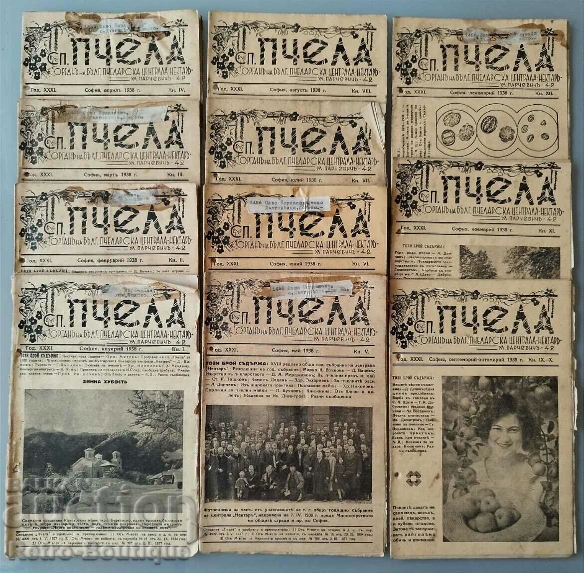 Revista „Albină”, 1938, aniversare completă