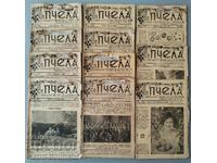 Revista „Albină”, 1938, aniversare completă