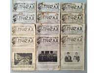 Revista „Albină”, 1937, aniversare completă