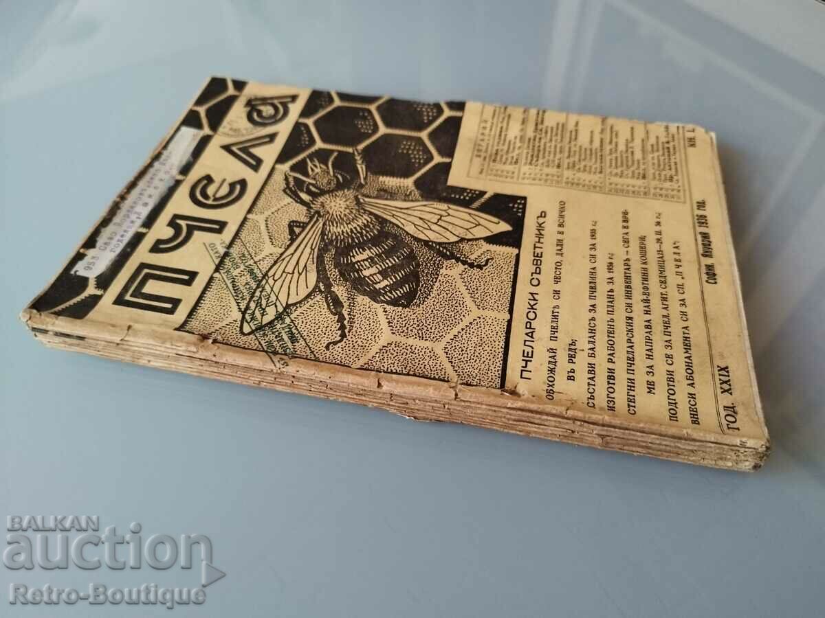 "Bee" magazine, 1936, 11 items. with price 130.00 BGN | € 66.47 "Bee" magazine, 1936, 11 items. with price 130.00 BGN | € 66.47