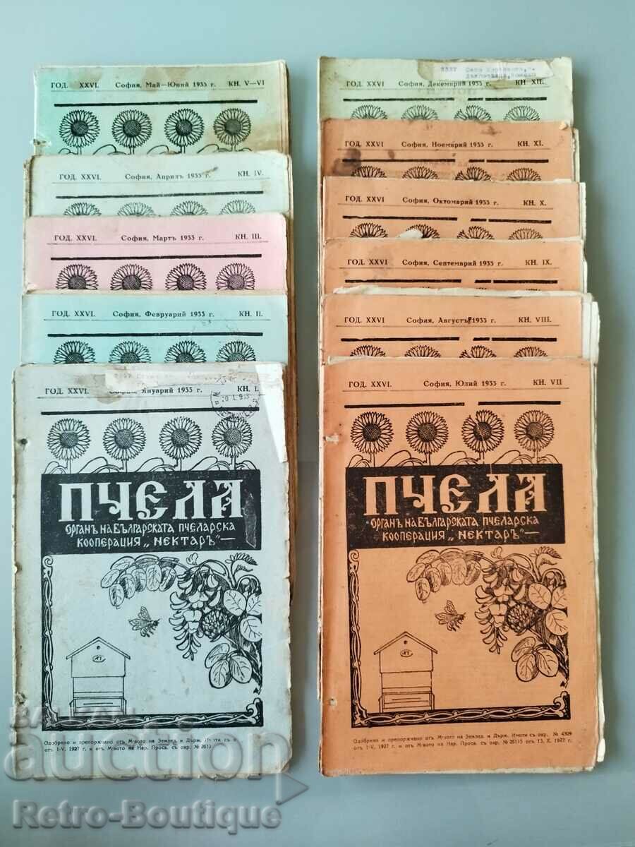 Revista „Albină”, 1933, aniversare completă