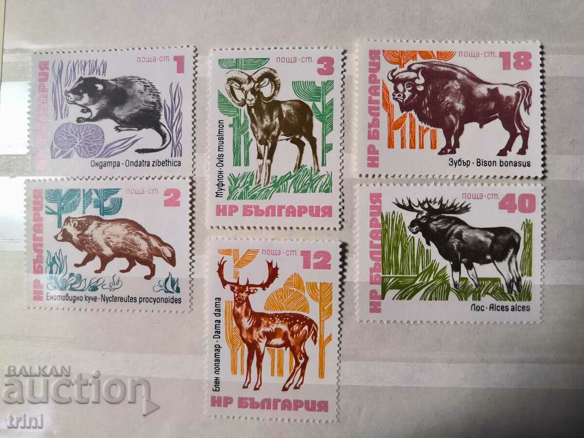 Bulgaria 1973 Fauna Rare mammals