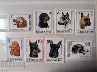 Bulgaria 1970 Fauna dogs