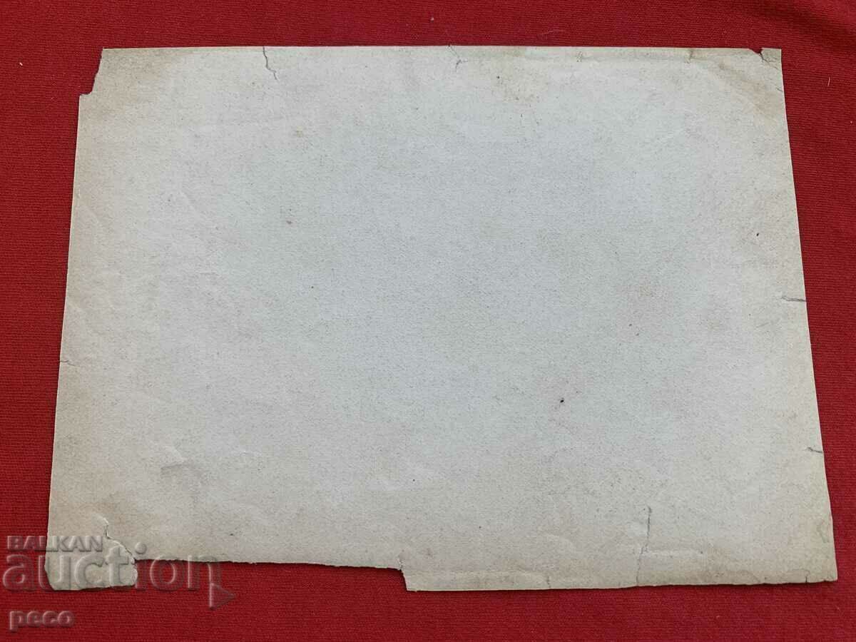 "Comita" Carrot Photographic reproduction of card. Georg Volz - 6