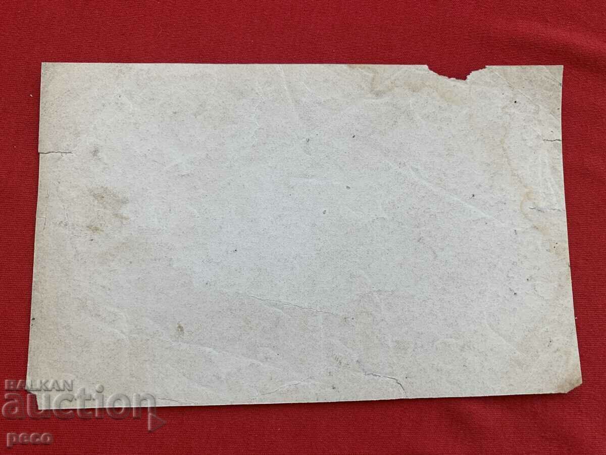 "Shop wedding" Carrot Photographic reproduction G. Volz - 6 "Shop wedding" Carrot Photographic reproduction G. Volz - 6