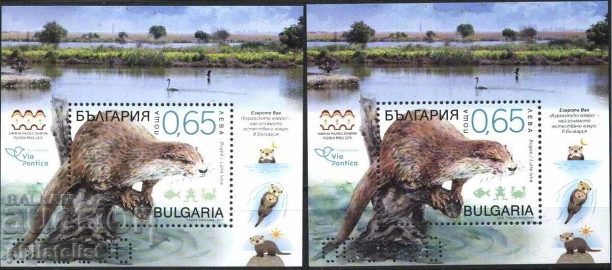 Fauna - protected species in Lake Burgas - Otter 2 block MNH