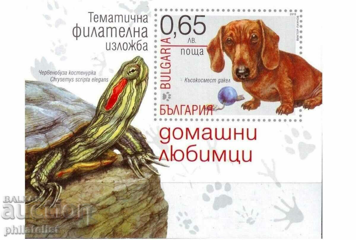 Bulgaria 2015 - Pets, dog block