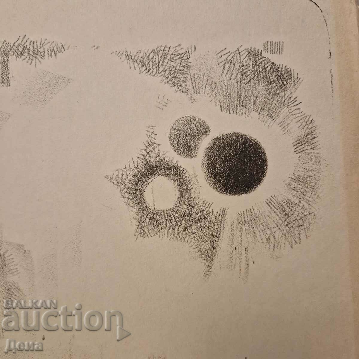 Auction Illustration by Hristo Braykov Auction Illustration by Hristo Braykov