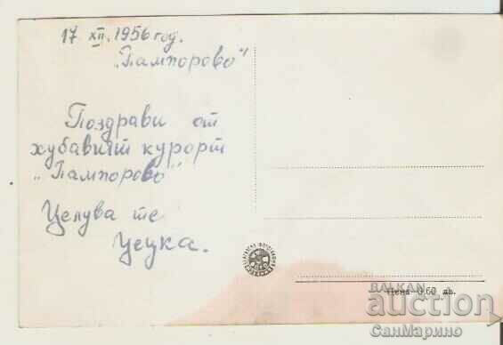 Card Bulgaria Pamporovo (Resort V.Kolarov) Homes with price 1.80 BGN | € 0.92 Card Bulgaria Pamporovo (Resort V.Kolarov) Homes with price 1.80 BGN | € 0.92