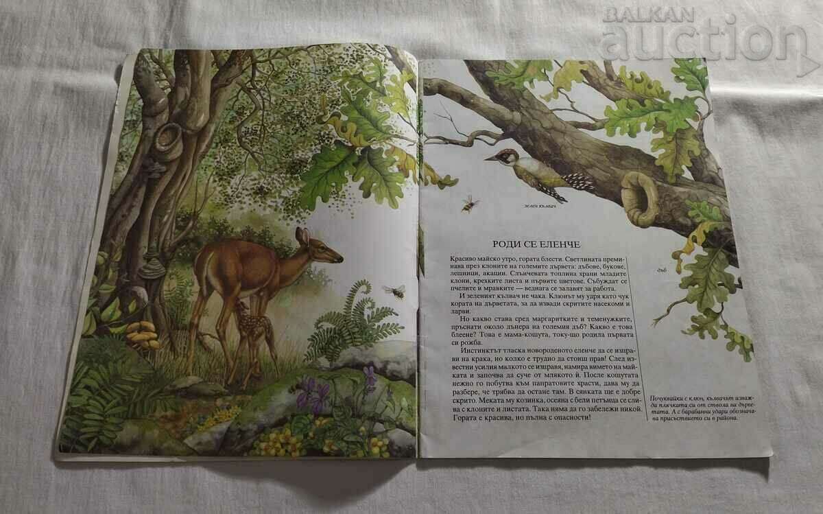 ONE YEAR WITH THE NOBLE ELENI A.BERTINO/FR.VALA with price 15.00 BGN | € 7.67 ONE YEAR WITH THE NOBLE ELENI A.BERTINO/FR.VALA with price 15.00 BGN | € 7.67