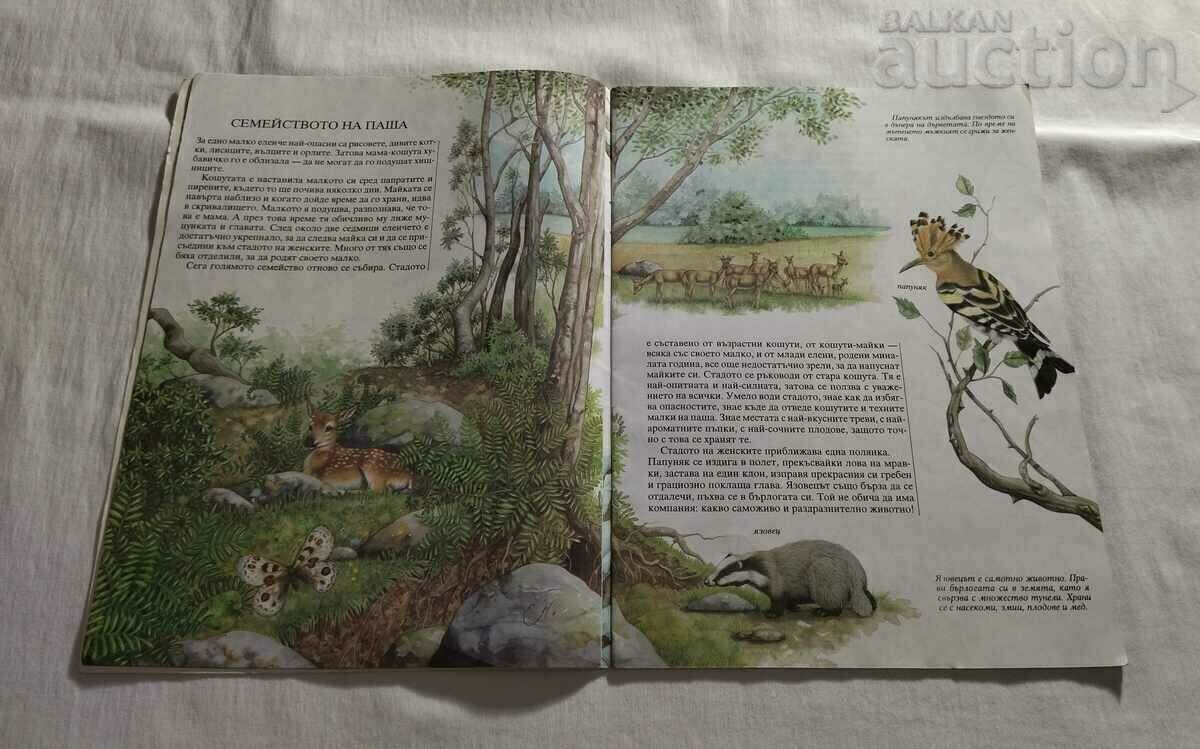 Auction ONE YEAR WITH THE NOBLE ELENI A.BERTINO/FR.VALA Auction ONE YEAR WITH THE NOBLE ELENI A.BERTINO/FR.VALA