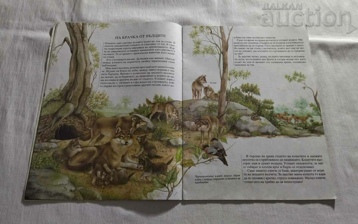 Delivery of ONE YEAR WITH THE NOBLE ELENI A.BERTINO/FR.VALA Delivery of ONE YEAR WITH THE NOBLE ELENI A.BERTINO/FR.VALA