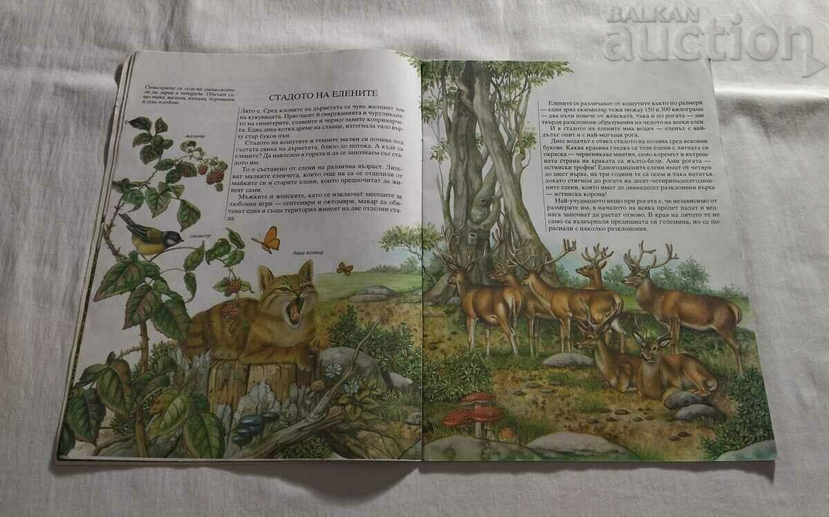 ONE YEAR WITH THE NOBLE ELENI A.BERTINO/FR.VALA - 5 ONE YEAR WITH THE NOBLE ELENI A.BERTINO/FR.VALA - 5