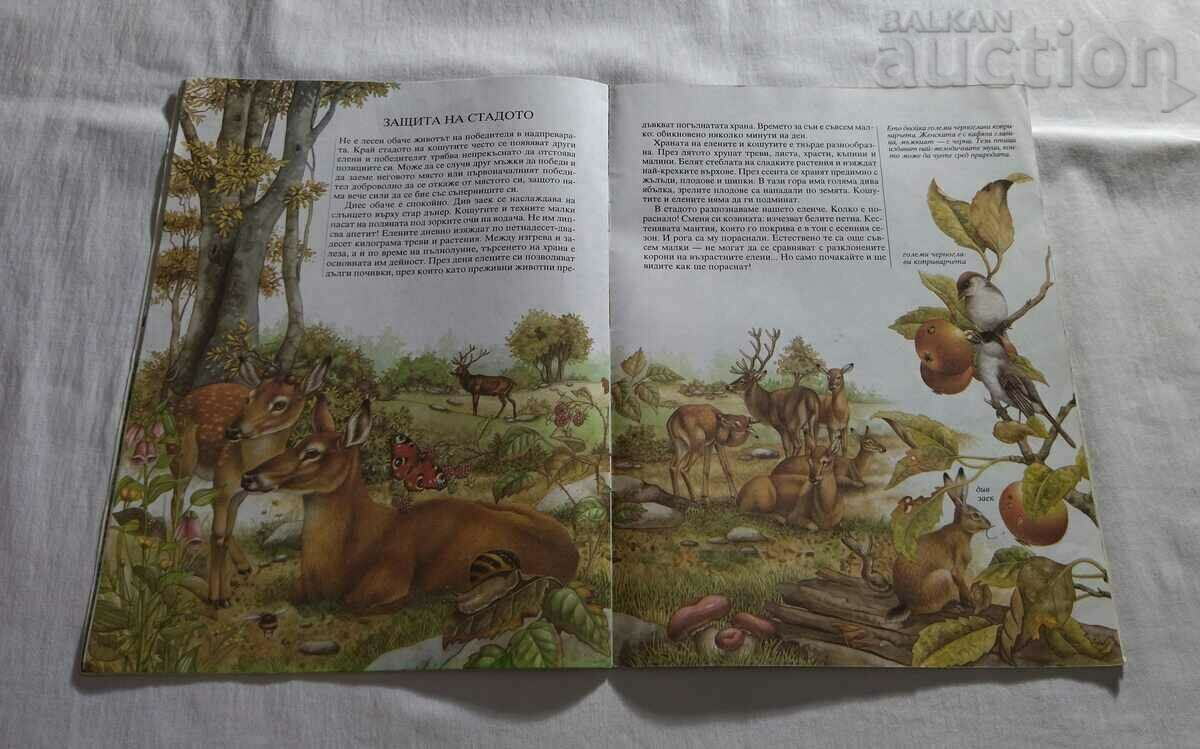 ONE YEAR WITH THE NOBLE ELENI A.BERTINO/FR.VALA - 6 ONE YEAR WITH THE NOBLE ELENI A.BERTINO/FR.VALA - 6