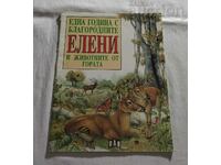 ЕДНА ГОДИНА С БЛАГОРОДНИТЕ ЕЛЕНИ А.БЕРТИНО/ФР.ВАЛА