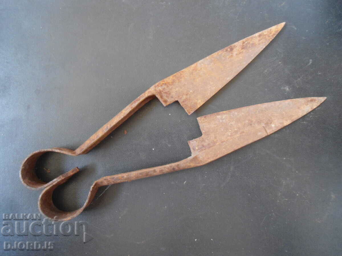 Old forged scissors