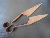 Old forged scissors