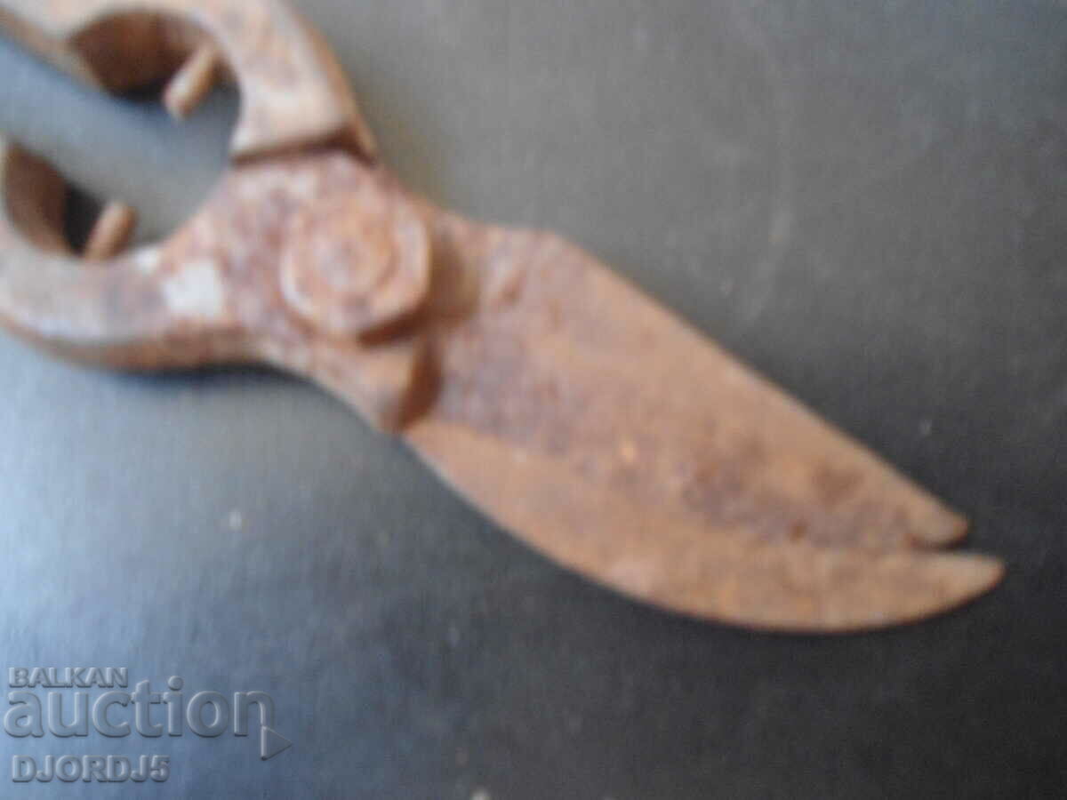 Old vine shears with price 3.00 BGN | € 1.53 Old vine shears with price 3.00 BGN | € 1.53