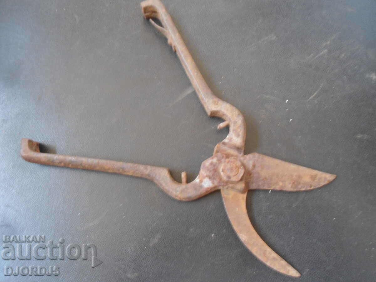 Delivery of Old vine shears Delivery of Old vine shears