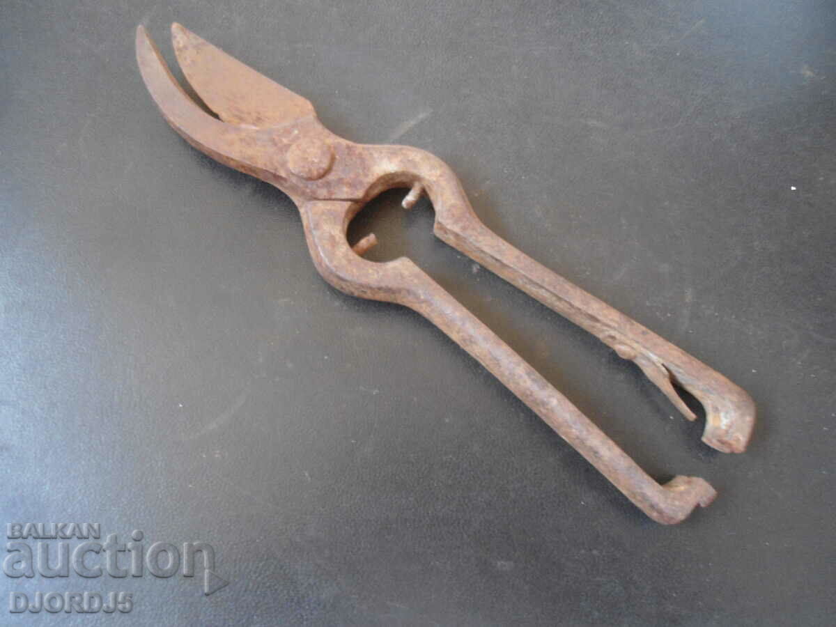 Old vine shears - 5 Old vine shears - 5
