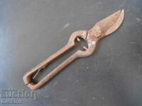 Old vine shears