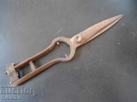 Old forged scissors