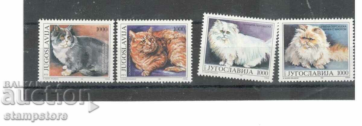 Yugoslavia 1992 - Cats