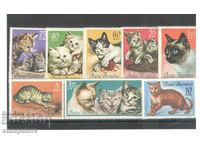 Romania 1965 - Cats