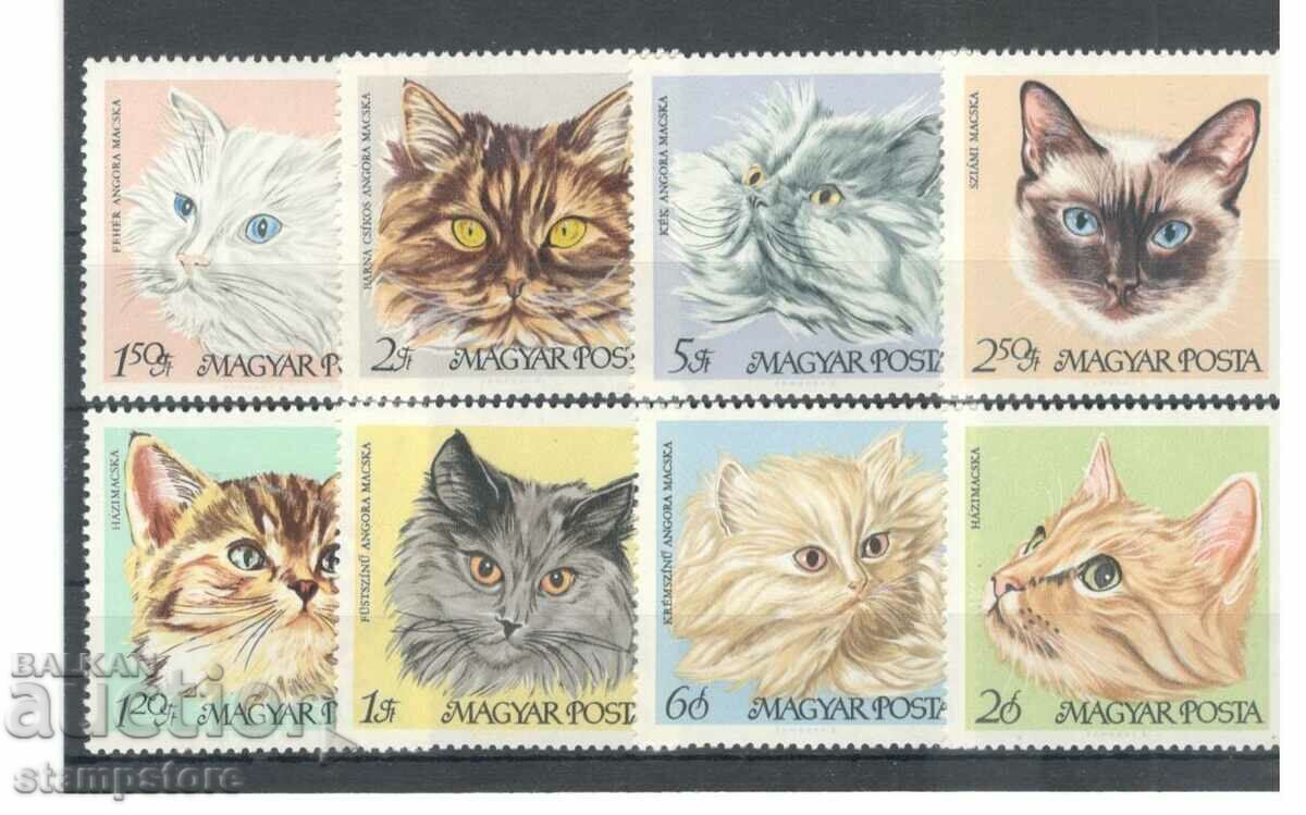 Hungary 1968 - Cats