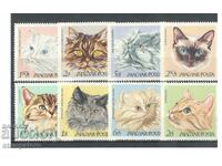 Hungary 1968 - Cats