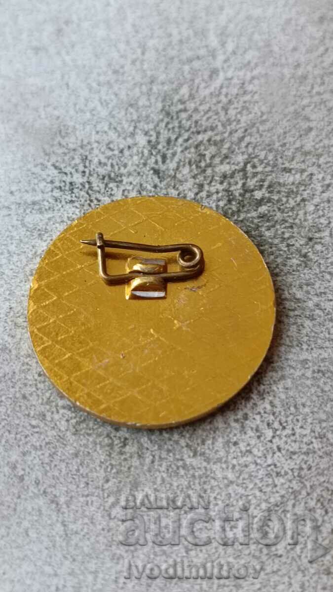 Badge 20 years 114 high school with English language studies with price 2.85 BGN | € 1.46 Badge 20 years 114 high school with English language studies with price 2.85 BGN | € 1.46