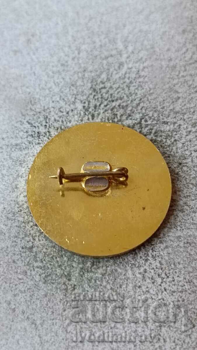 Badge 25 years 114 high school with English language studies with price 2.85 BGN | € 1.46 Badge 25 years 114 high school with English language studies with price 2.85 BGN | € 1.46