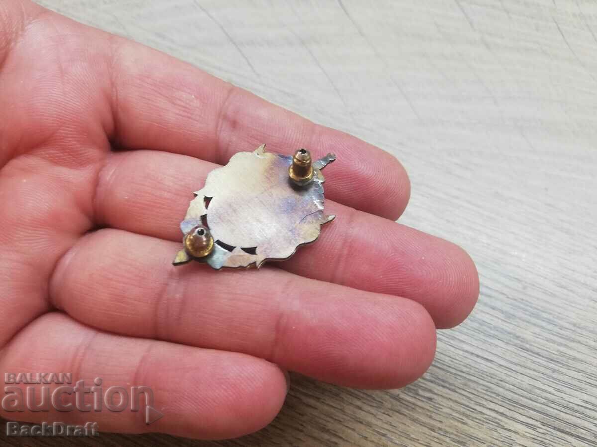 СБК знак,значка на винт Съюз на българските командоси - 6 СБК знак,значка на винт Съюз на българските командоси - 6