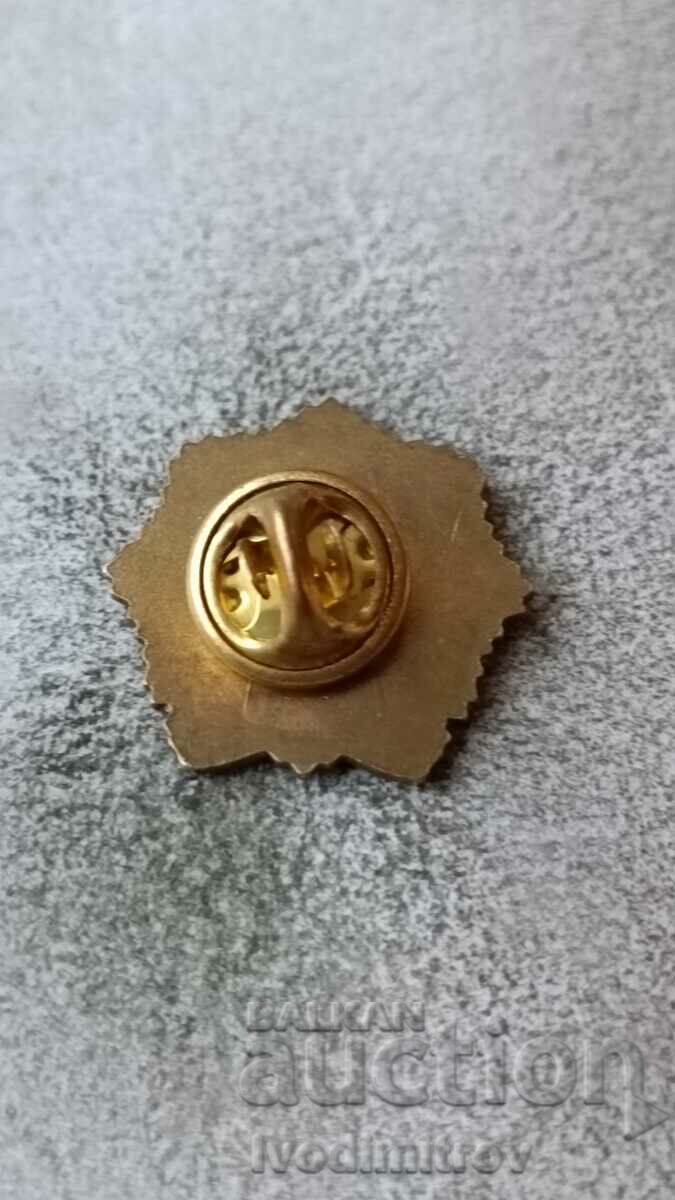 International Law Enforcement Academy Budapest badge with price 3.85 BGN | € 1.97 International Law Enforcement Academy Budapest badge with price 3.85 BGN | € 1.97