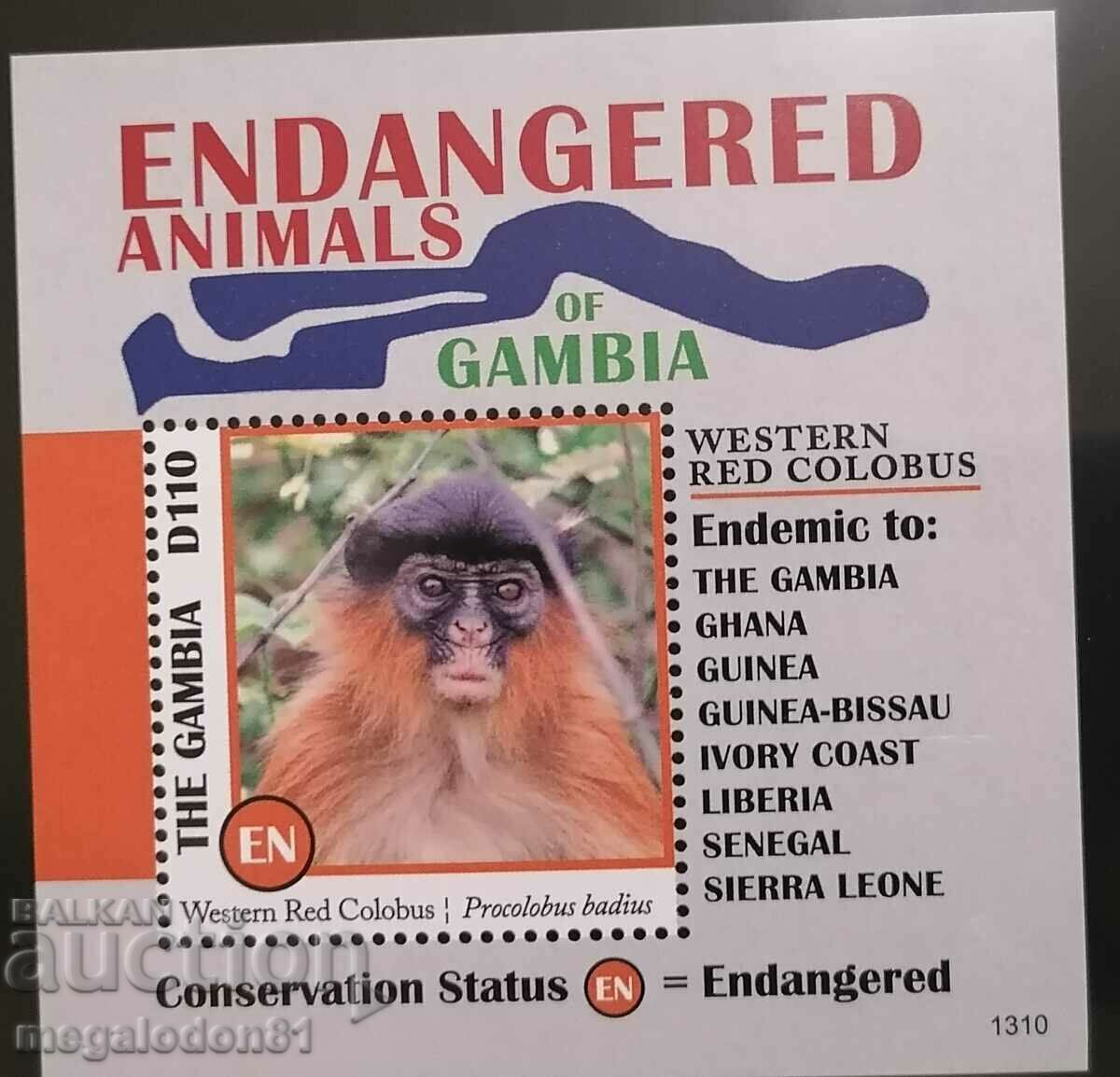 Δημοπρασία Γκάμπια - Αφρικανική πανίδα, ζώα υπό εξαφάνιση Δημοπρασία Γκάμπια - Αφρικανική πανίδα, ζώα υπό εξαφάνιση