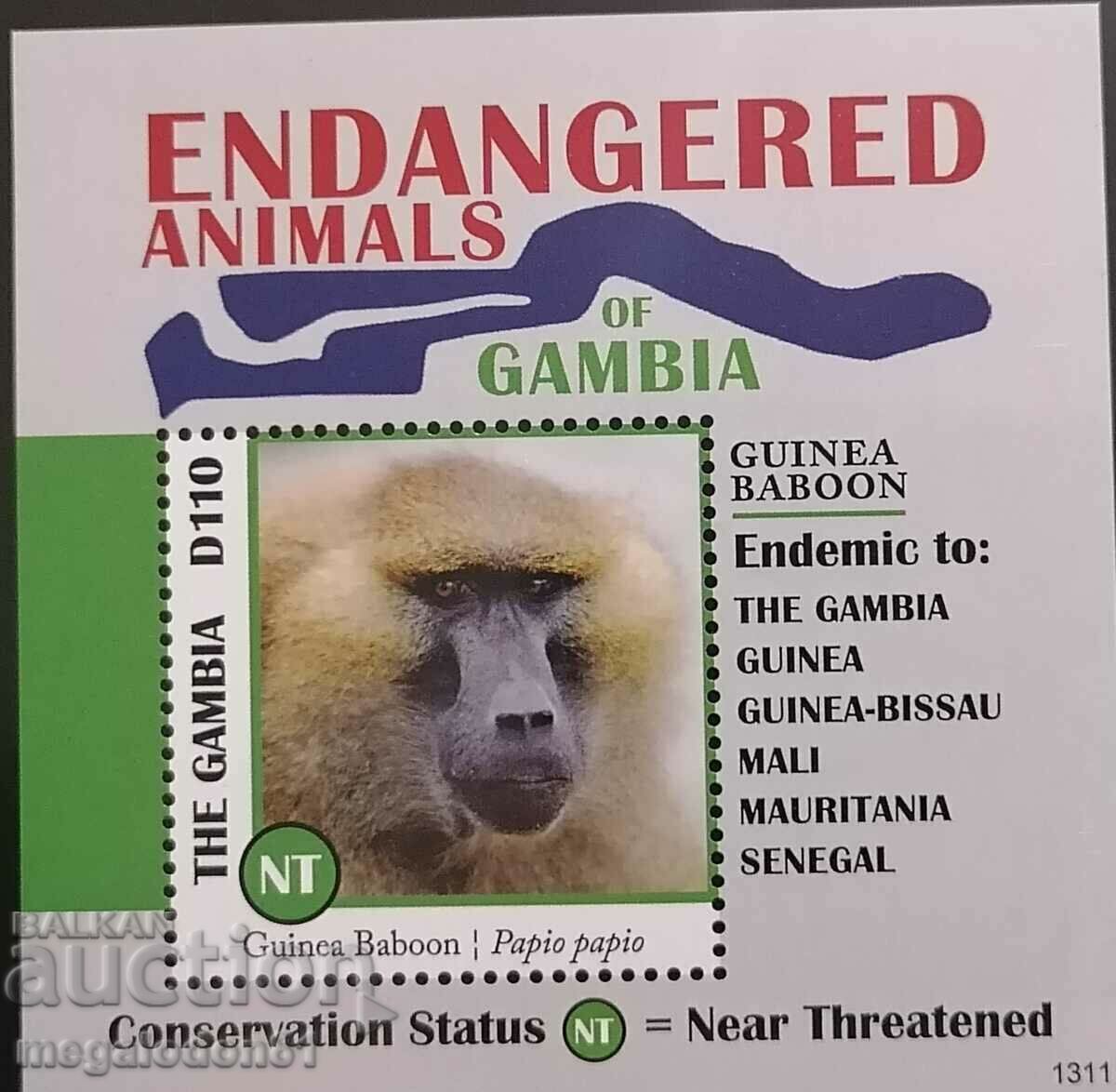 Παράδοση Γκάμπια - Αφρικανική πανίδα, ζώα υπό εξαφάνιση