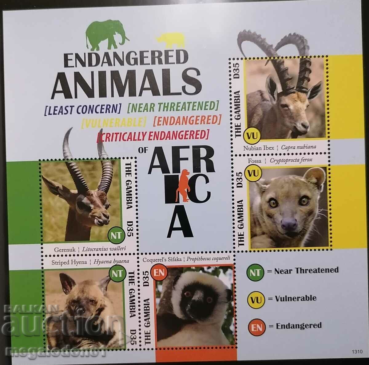 Gambia - fauna africană, animale pe cale de dispariție