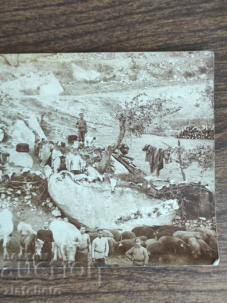 Delivery of Old photo Kingdom of Bulgaria - PSV Delivery of Old photo Kingdom of Bulgaria - PSV