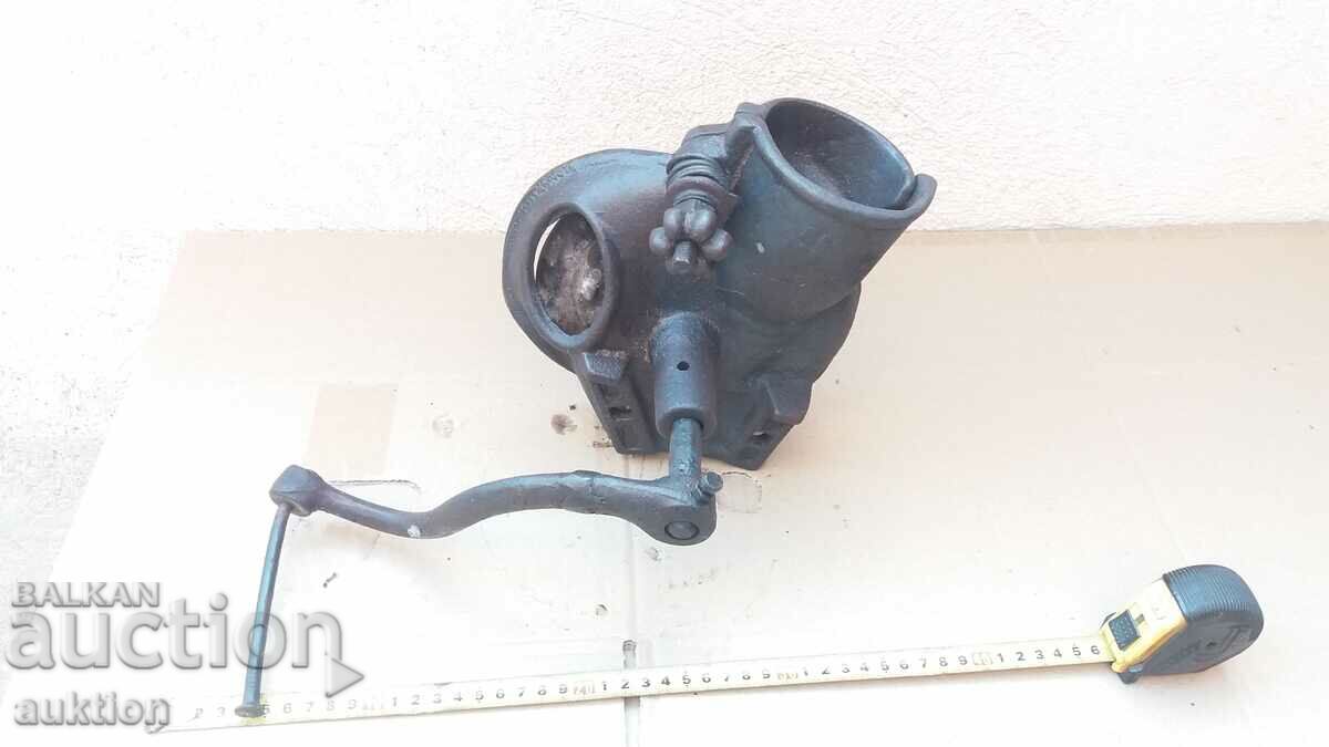 PORUMB MASIV GROS cu preț 14.99 BGN | € 7.66 PORUMB MASIV GROS cu preț 14.99 BGN | € 7.66