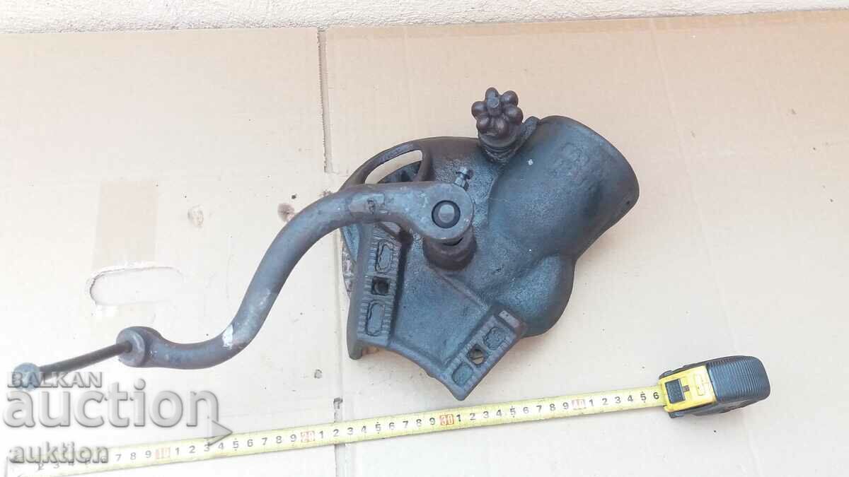 Livrarea PORUMB MASIV GROS Livrarea PORUMB MASIV GROS