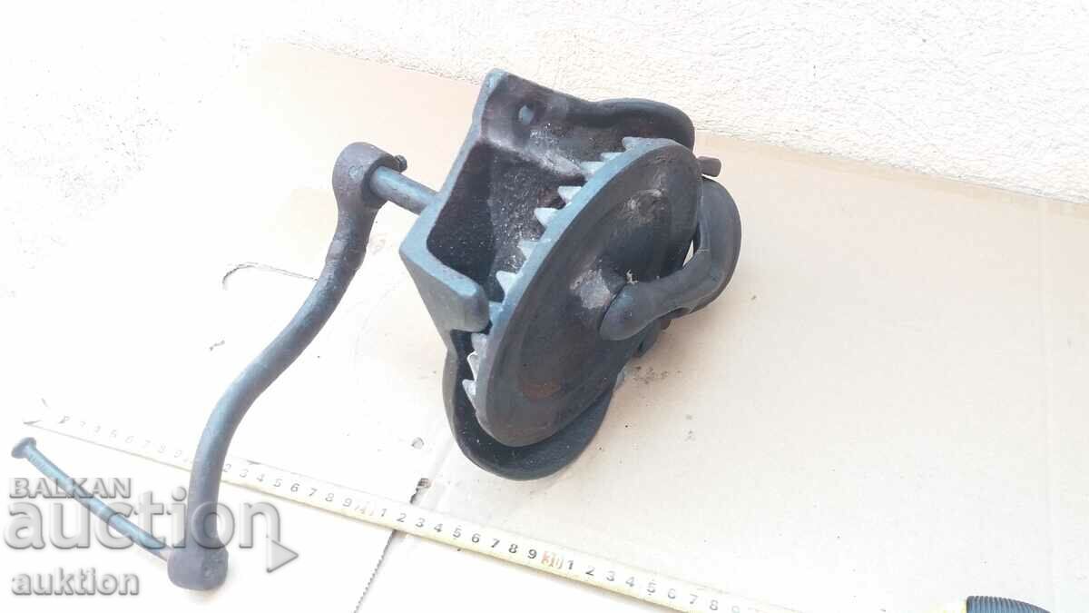 PORUMB MASIV GROS - 6 PORUMB MASIV GROS - 6