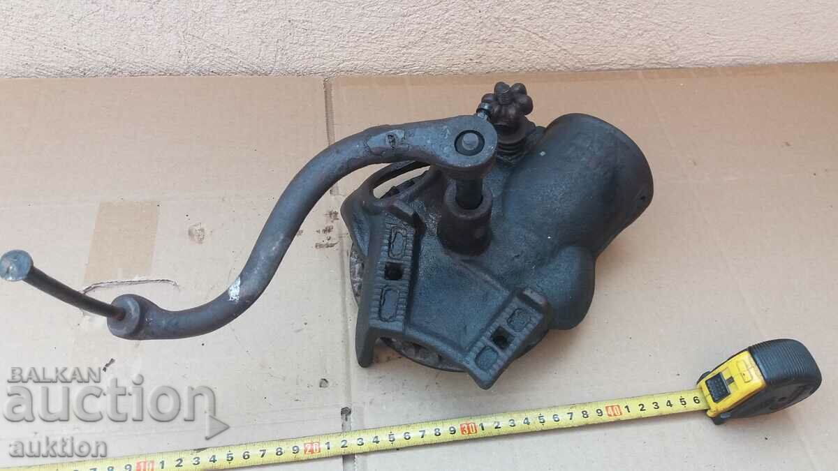 PORUMB MASIV GROS - 7 PORUMB MASIV GROS - 7