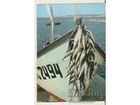 Carte poștală Bulgaria Nessebar Lângă Nessebar 2*