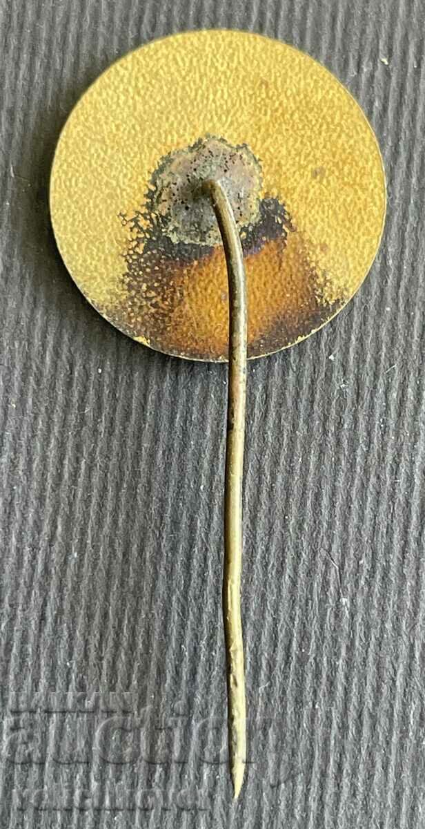 38067 Bulgaria sign Educational sailing ship Asen enamel with price 5.00 BGN | € 2.56 38067 Bulgaria sign Educational sailing ship Asen enamel with price 5.00 BGN | € 2.56