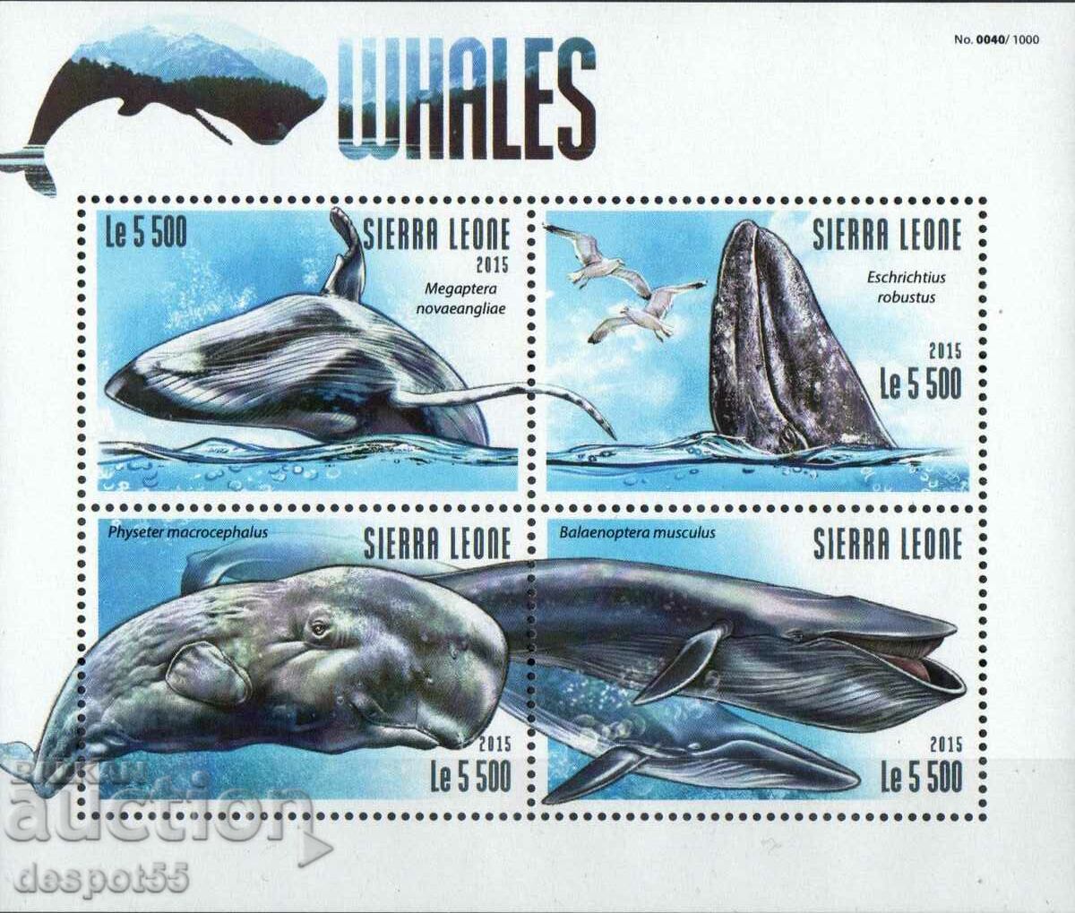 2015. Sierra Leone. Marine life - whales. Block.