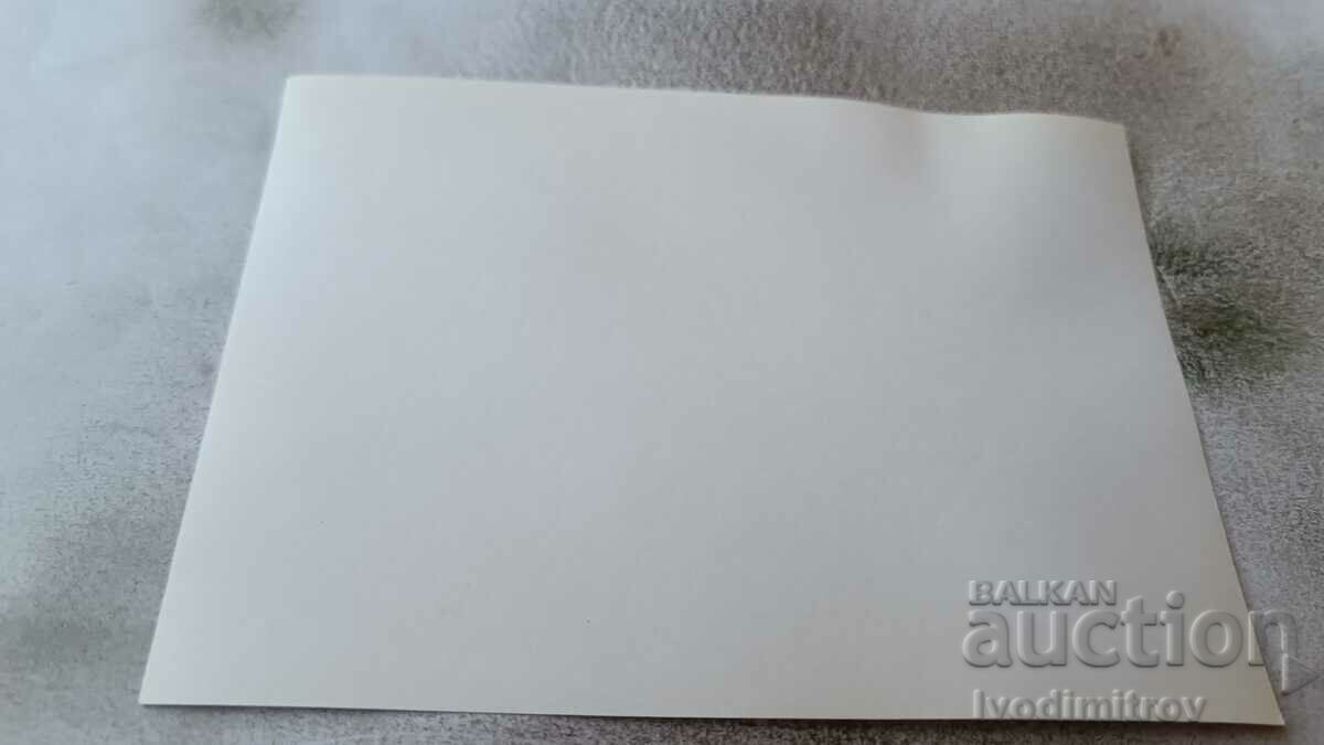 Photo A man and a woman with a wolf dog on the rocks with price 2.35 BGN | € 1.20 Photo A man and a woman with a wolf dog on the rocks with price 2.35 BGN | € 1.20