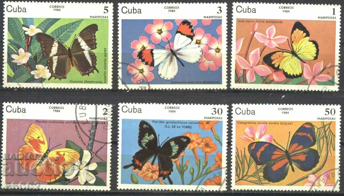 Timbre Fauna Insecte Fluturi 1984 din Cuba