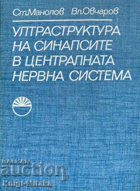 Ултраструктура на синапсите в централната нервна система