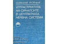 Υπερδομή συνάψεων στο κεντρικό νευρικό σύστημα